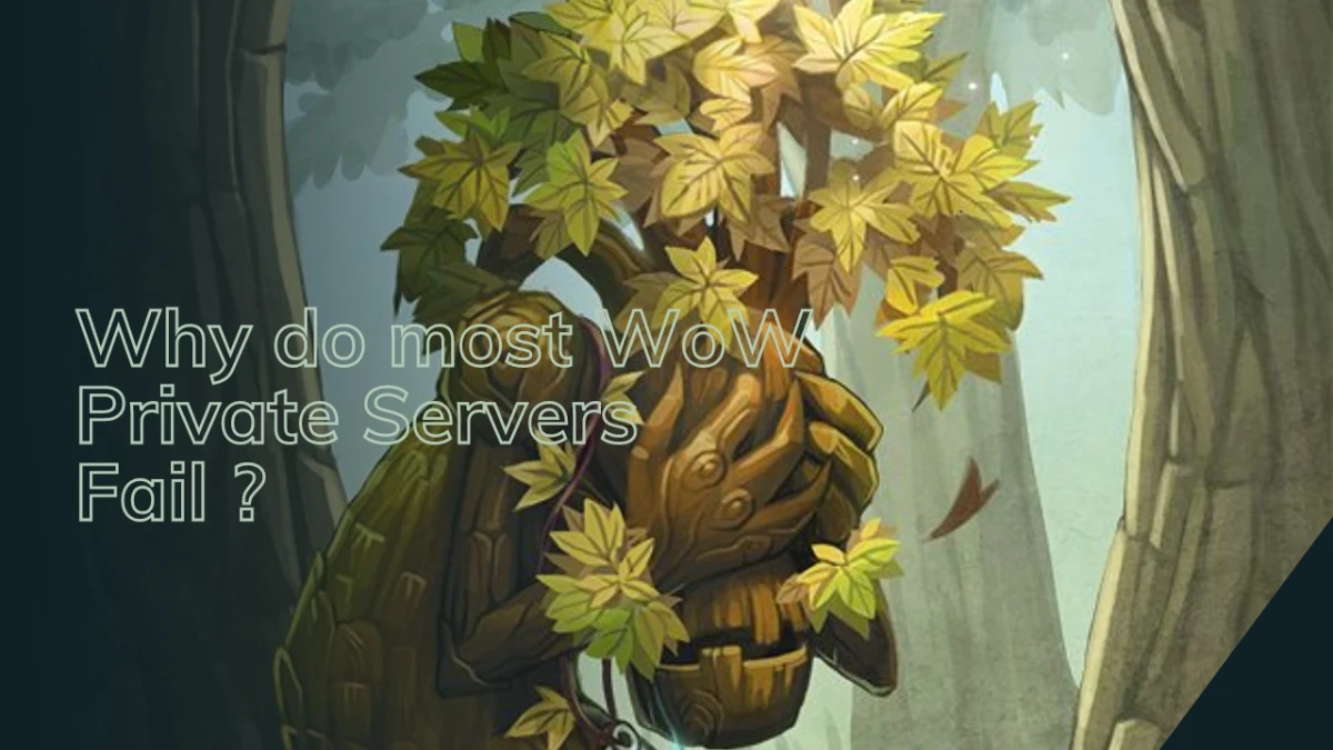 Why do World of Warcraft Private Servers fail ?